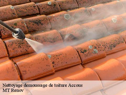 Nettoyage demoussage de toiture  accous-64490 MT Renov