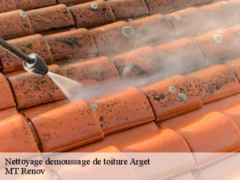 Nettoyage demoussage de toiture  arget-64410 MT Renov