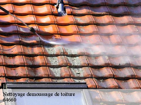 Nettoyage demoussage de toiture  64660