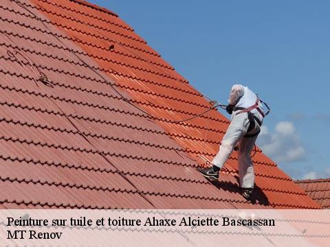 Peinture sur tuile et toiture  ahaxe-alciette-bascassan-64220 MT Renov