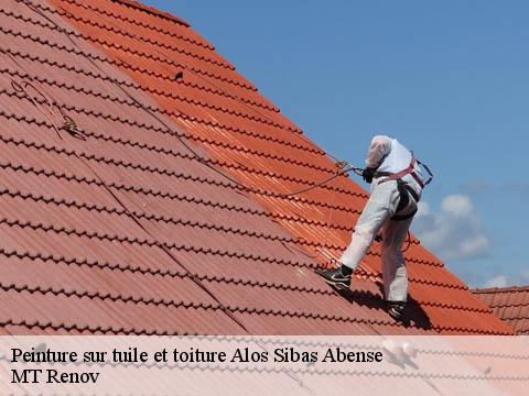 Peinture sur tuile et toiture  alos-sibas-abense-64470 MT Renov