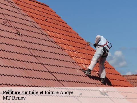 Peinture sur tuile et toiture  anoye-64350 MT Renov