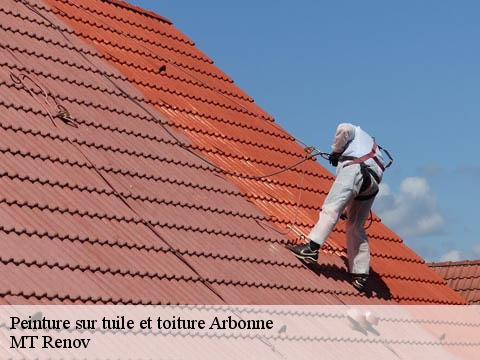 Peinture sur tuile et toiture  arbonne-64210 MT Renov