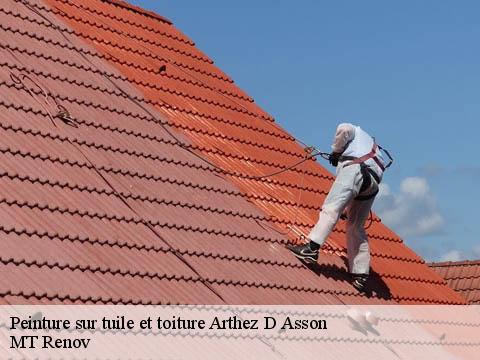 Peinture sur tuile et toiture  arthez-d-asson-64800 MT Renov