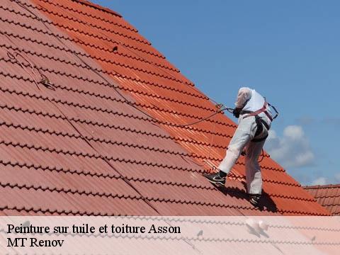 Peinture sur tuile et toiture  asson-64800 MT Renov