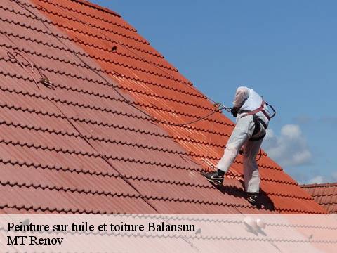 Peinture sur tuile et toiture  balansun-64300 MT Renov