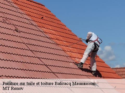 Peinture sur tuile et toiture  baliracq-maumusson-64330 MT Renov