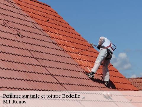 Peinture sur tuile et toiture  bedeille-64460 MT Renov