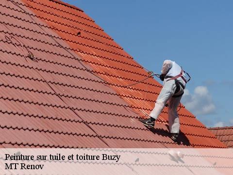 Peinture sur tuile et toiture  buzy-64260 MT Renov