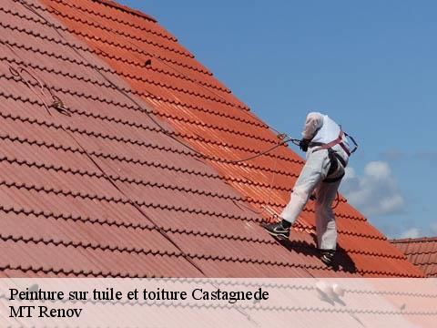 Peinture sur tuile et toiture  castagnede-64270 MT Renov