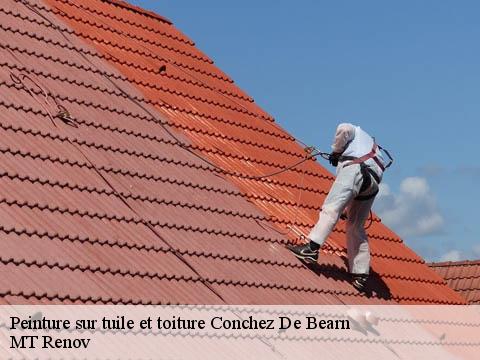 Peinture sur tuile et toiture  conchez-de-bearn-64330 MT Renov