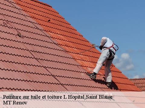 Peinture sur tuile et toiture  l-hopital-saint-blaise-64130 MT Renov