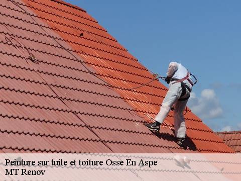 Peinture sur tuile et toiture  osse-en-aspe-64490 MT Renov