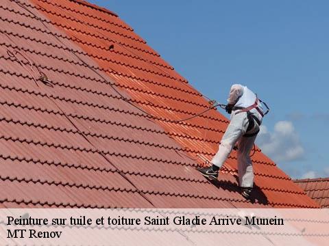 Peinture sur tuile et toiture  saint-gladie-arrive-munein-64390 MT Renov