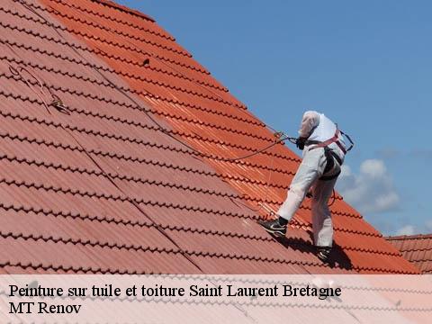 Peinture sur tuile et toiture  saint-laurent-bretagne-64160 MT Renov