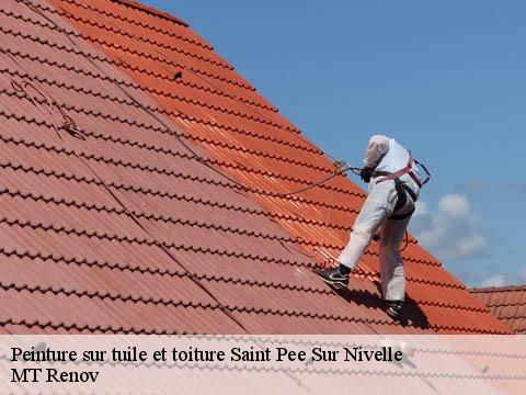 Peinture sur tuile et toiture  saint-pee-sur-nivelle-64310 MT Renov