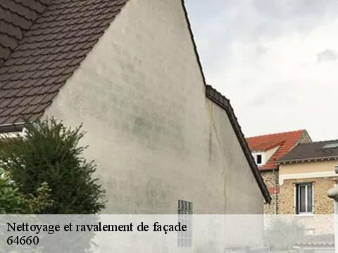 Nettoyage et ravalement de façade  64660