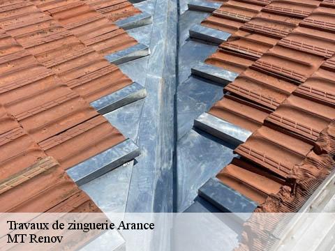 Travaux de zinguerie  arance-64300 MT Renov