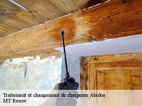 Traitement et changement de charpente  abidos-64150 MT Renov