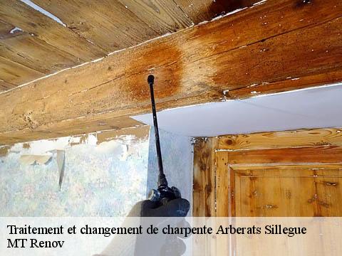 Traitement et changement de charpente  arberats-sillegue-64120 MT Renov