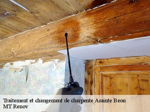 Traitement et changement de charpente  asainte-beon-64260 MT Renov